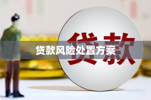南涧贷款风险处置方案