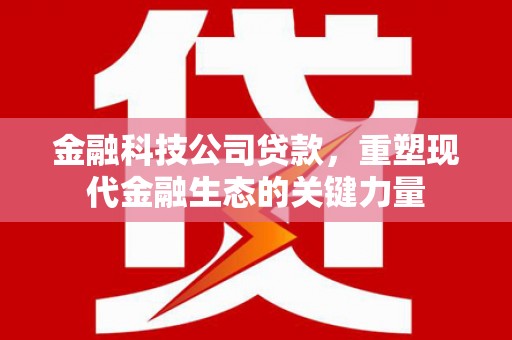 衡东金融科技公司贷款，重塑现代金融生态的关键力量