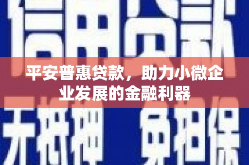 永州平安普惠贷款，助力小微企业发展的金融利器