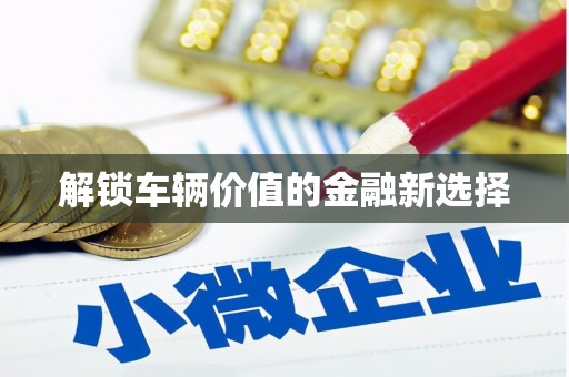 分宜解锁车辆价值的金融新选择