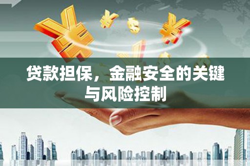 道外贷款担保，金融安全的关键与风险控制