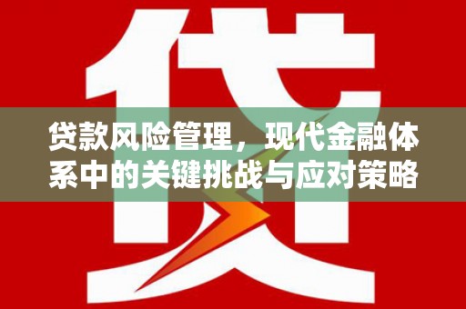 潜山贷款风险管理，现代金融体系中的关键挑战与应对策略
