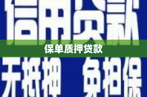 松北保单质押贷款