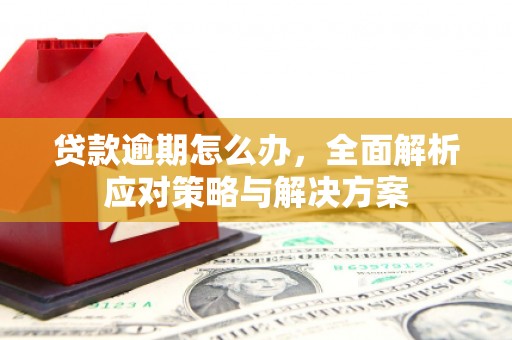 白碱滩贷款逾期怎么办，全面解析应对策略与解决方案