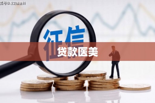 吴忠贷款医美