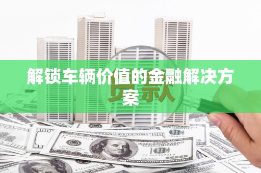 大甲解锁车辆价值的金融解决方案