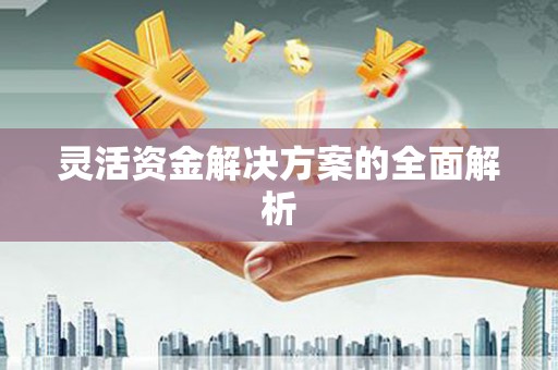 合浦灵活资金解决方案的全面解析