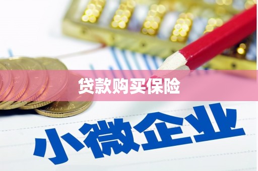 惠山贷款购买保险