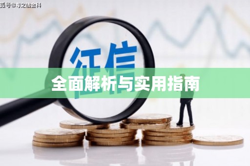 绥中全面解析与实用指南