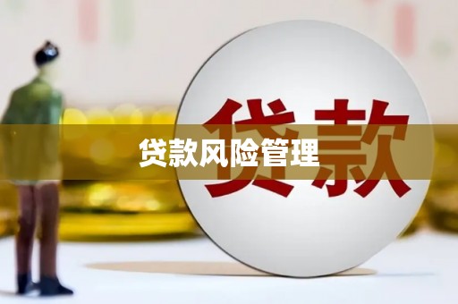 白山贷款风险管理