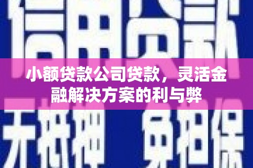 万全小额贷款公司贷款，灵活金融解决方案的利与弊